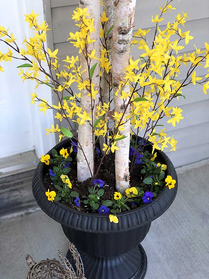 Easy 5 Minute Spring Porch Pot Refresh - House of Hawthorn