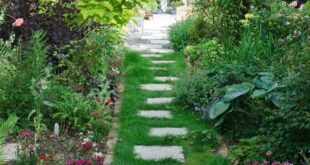 How to Lay Garden Stepping Stones | BBC Gardeners World Magazi