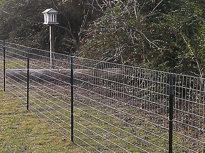 boundary fence | Dog fence, Farm fence, Cheap fen