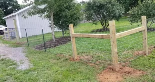 T-Post Fence – Yard Dog Fenci