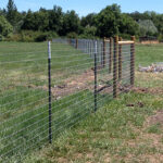 T-Post Fence - Timberline Fen