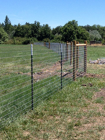 T-Post Fence - Timberline Fen