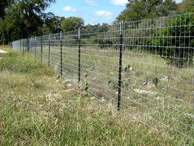 Studded T Post, | Fence contractor, Wood fence, T post fen