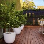 Composite Or Timber DECKING, Which Is Better For Your Landscap