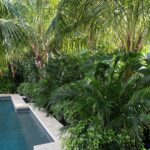 Tropical Garden | Tropical pool landscaping, Outdoor landscape .