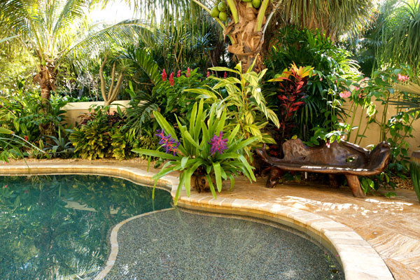 Landscape Designs - Tropical - Pool - Miami - by Jupiter Island .