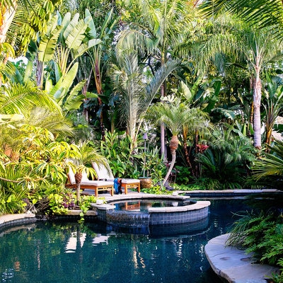 Creating a Beautiful Tropical Poolside Landscape — Best Pool Servi