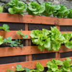 How to Design the Perfect Vegetable Garden Layout | Plant Perfe