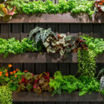 Vertical Gardens — Kentucky Ready Set Gr