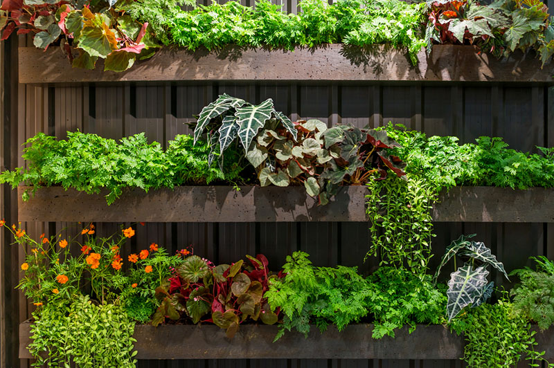 Vertical Gardens — Kentucky Ready Set Gr