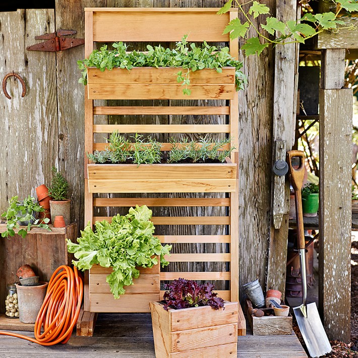 TIPS FOR VERTICAL GARDENING — Todd Haiman Landscape Desi