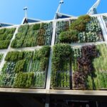 Everything you need to know about vertical gardens | Garden .