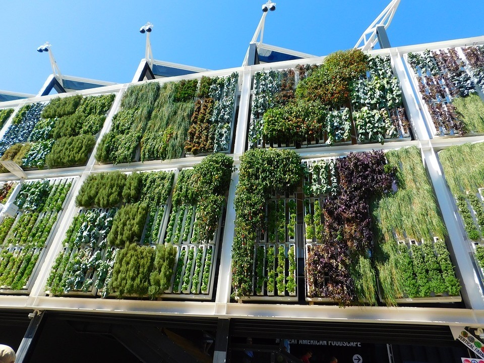 Everything you need to know about vertical gardens | Garden .