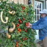 Vertical gardens appeal to urban green thumbs - CSMonitor.c