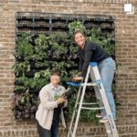 Vertical Gardens: Growing Food in Small Spac