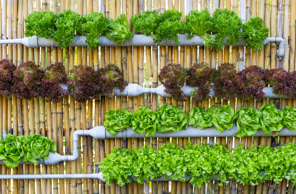 Your Full Guide to Growing A Vertical Vegetable Garden – Outland .