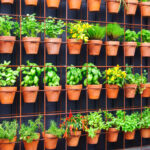 How to Grow a Vertical Gardening and More | Planter's Library .