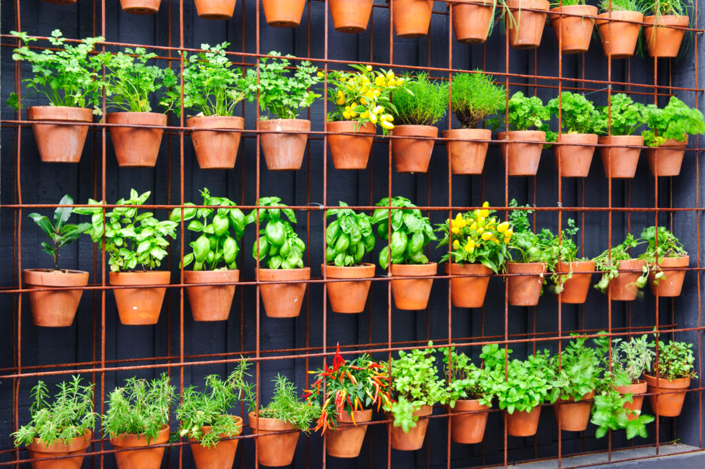 How to Grow a Vertical Gardening and More | Planter's Library .