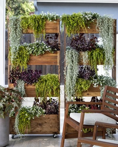 Vertical Gardening Ideas: How & What to Grow Vertically | Garden .