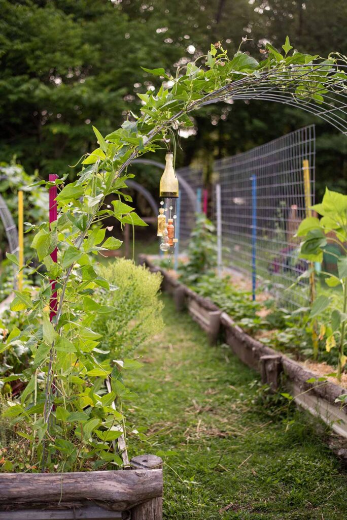 Vertical Gardening Ideas (Affordable & Functional!) - Roots and Refu