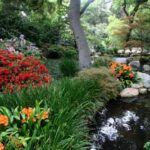 How to Build a Water Garden | HowStuffWor