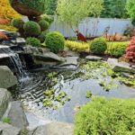 Create a Water Garden in Your Backya