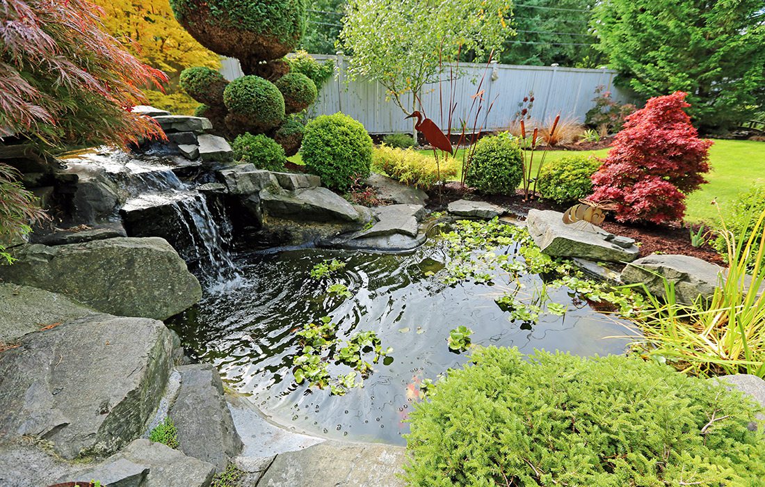 Create a Water Garden in Your Backya