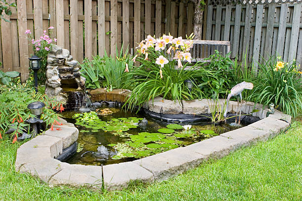 8,200+ Water Garden Stock Photos, Pictures & Royalty-Free Images .