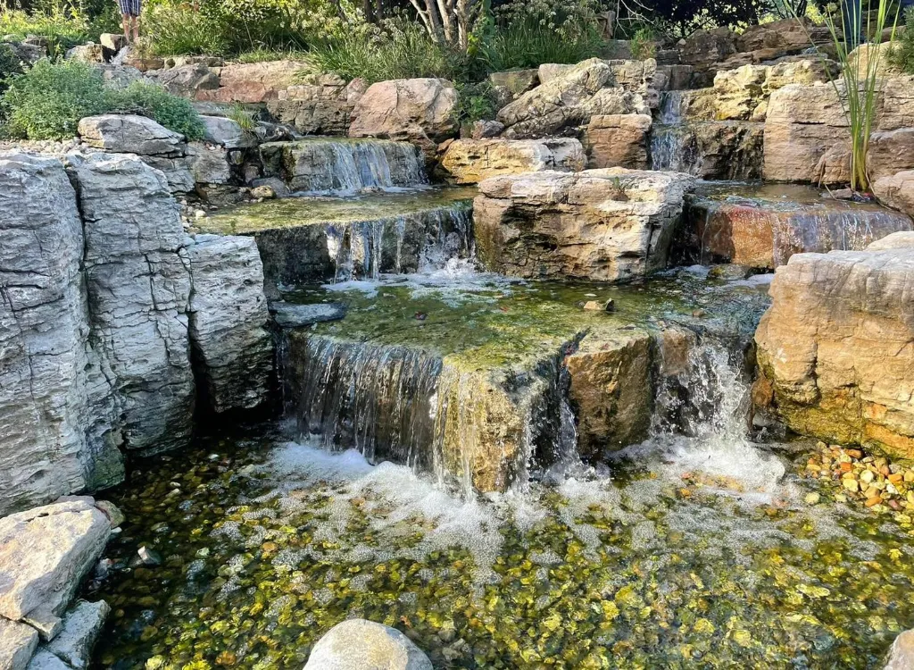 What Is A Water Garden? What Do You Need To Know About The