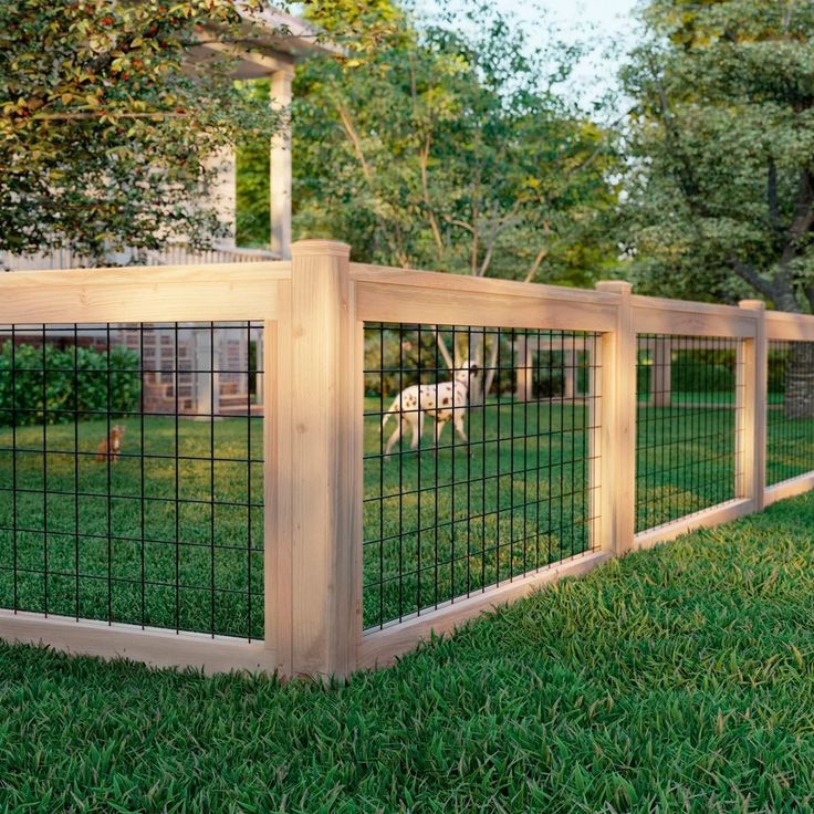 10 Unique DIY Fence Ideas | Backyard fences, Fence landscaping .