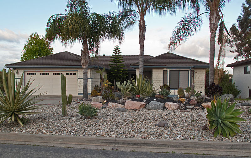 A Beginner's Guide to Xeriscapi