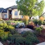 Xeriscape front yard, Xeriscape, Xeriscape landscapi