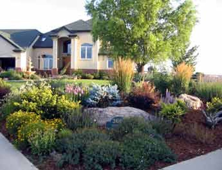 Xeriscape front yard, Xeriscape, Xeriscape landscapi