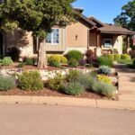 Mythbusting Xeriscaping: Addressing Common Concerns About Water .