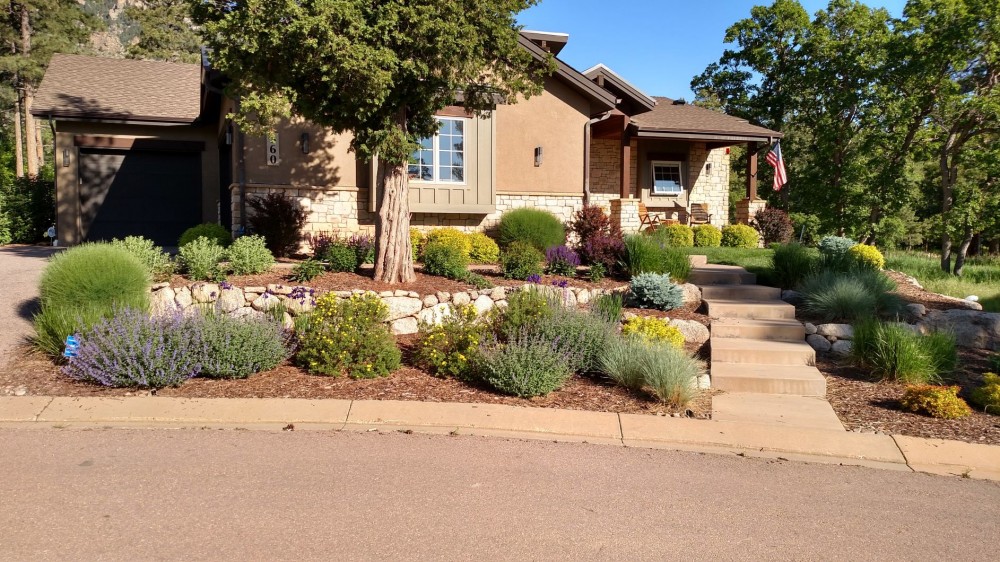 Mythbusting Xeriscaping: Addressing Common Concerns About Water .