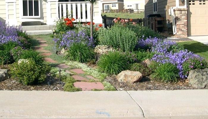 What is Xeriscaping and why should I care? | Sutherland Landscape .