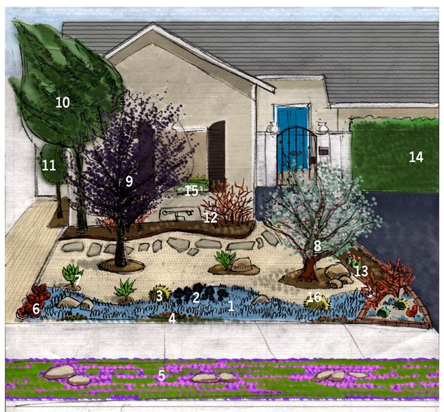 Xeriscape Ninjas: Xeriscaping Ninjas | California landscaping .